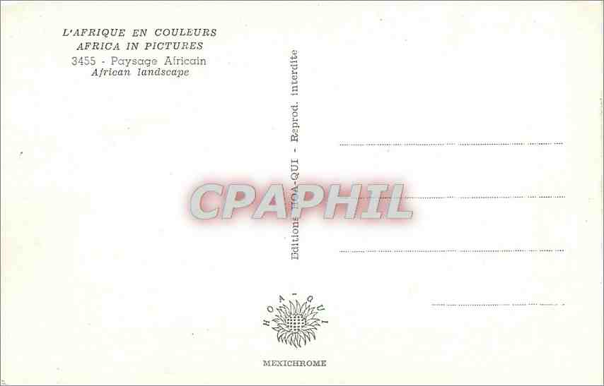 CPA Paysage Africain African Landscape  — Rückseite