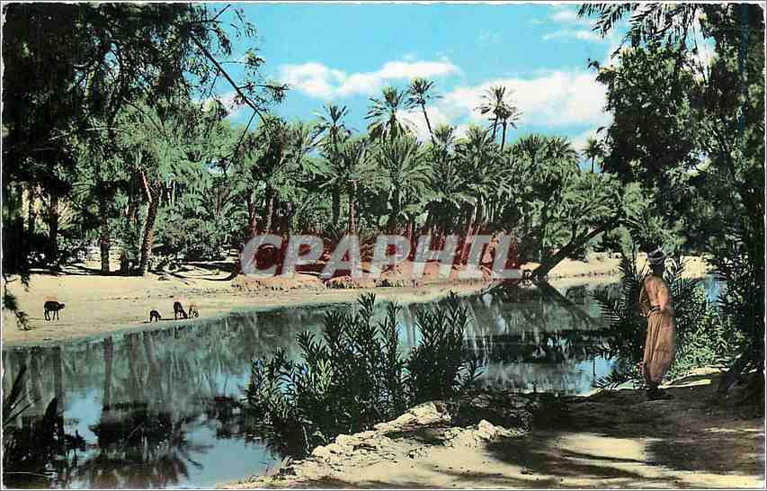CPM Bechar vu par Argence 