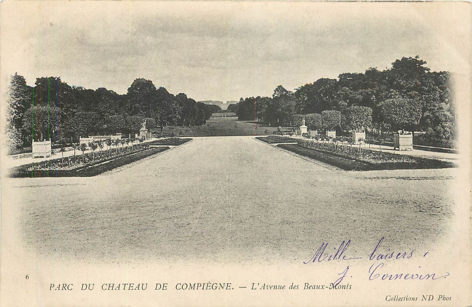 CPA Parc du Chateau de Compiegne L'Avenue des Beaux Monts 