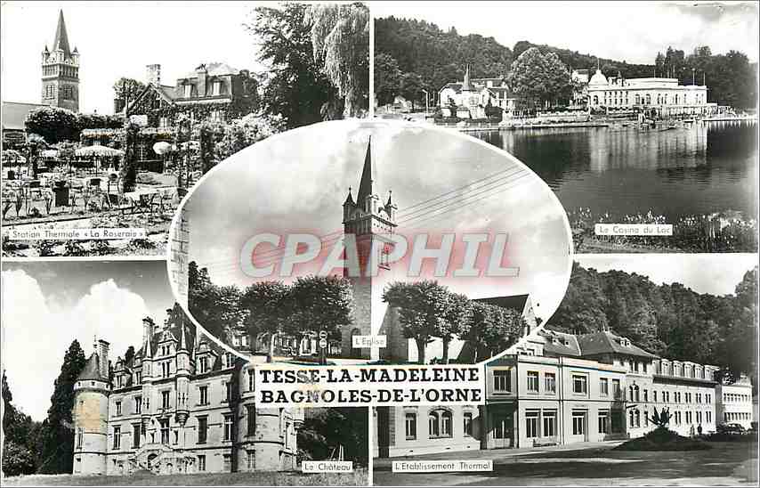 Tesse-la-Madeleine — Bagnoles-de-l'Orne — vue panoramique avec éditeur Artaud & Fils, Nantes