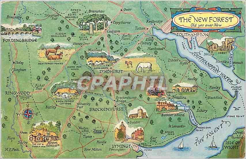 CPA The New Forest Old yer ever New Southampton 