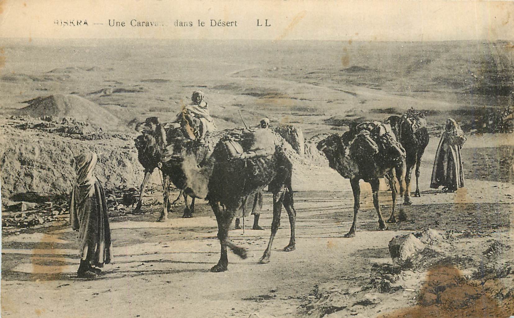 CPA Une Caravane dans le Desert Chameaux