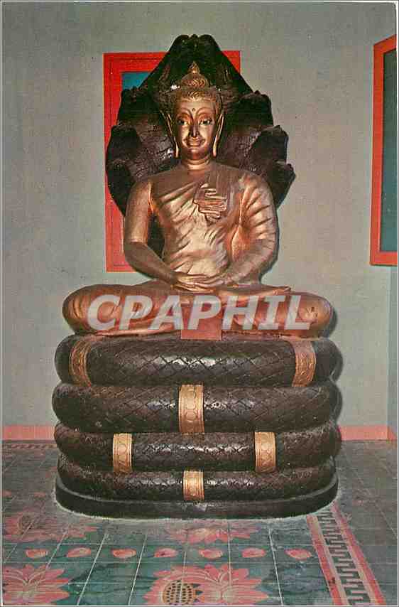 CPA The King of Serpents Thai Buddhist Temple Penang 
