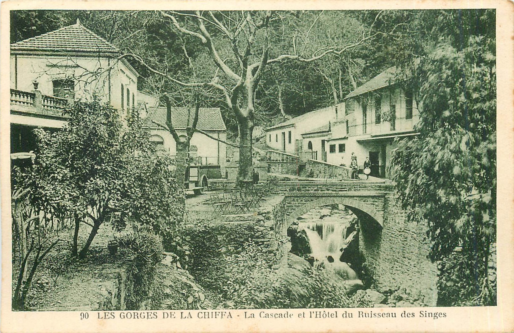 CPA Les Gorges de la Chiffa La Cascade et l'Hotel du Ruisseau des Singes 
