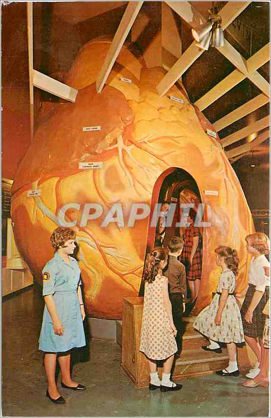 CPA The Human Heart The Museum of Science and Industry Chicago Illinois 