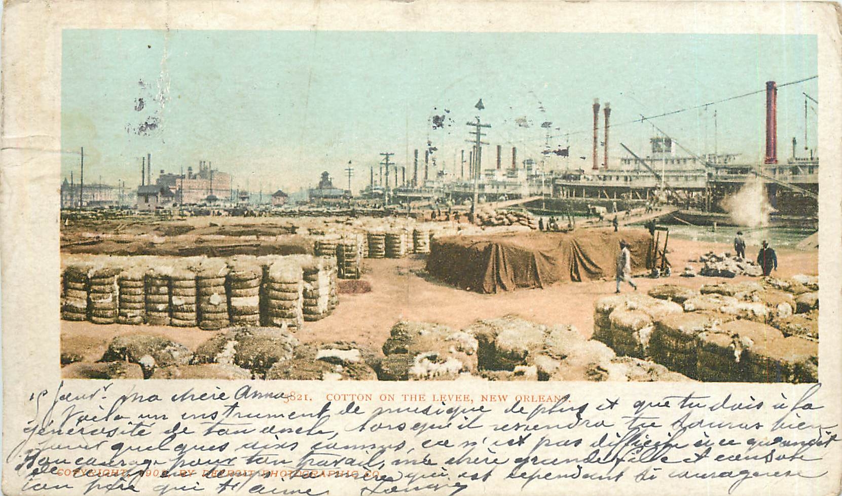 CPA Cotton on the Levee New Orleans 