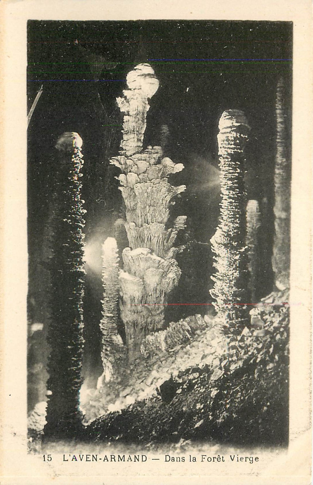 CPA L'Aven Armand Dans la Foret Vierge 