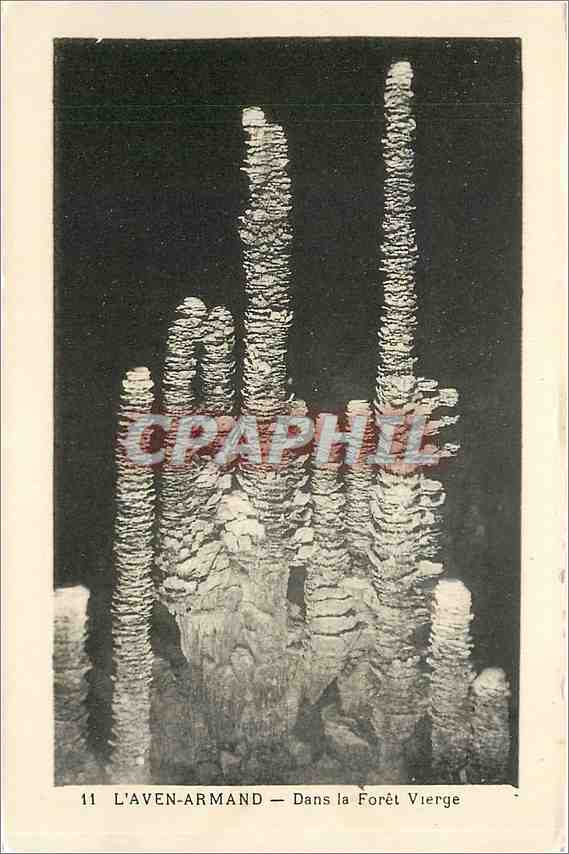 CPA L'Aven Armand Dans la Foret Vierge 