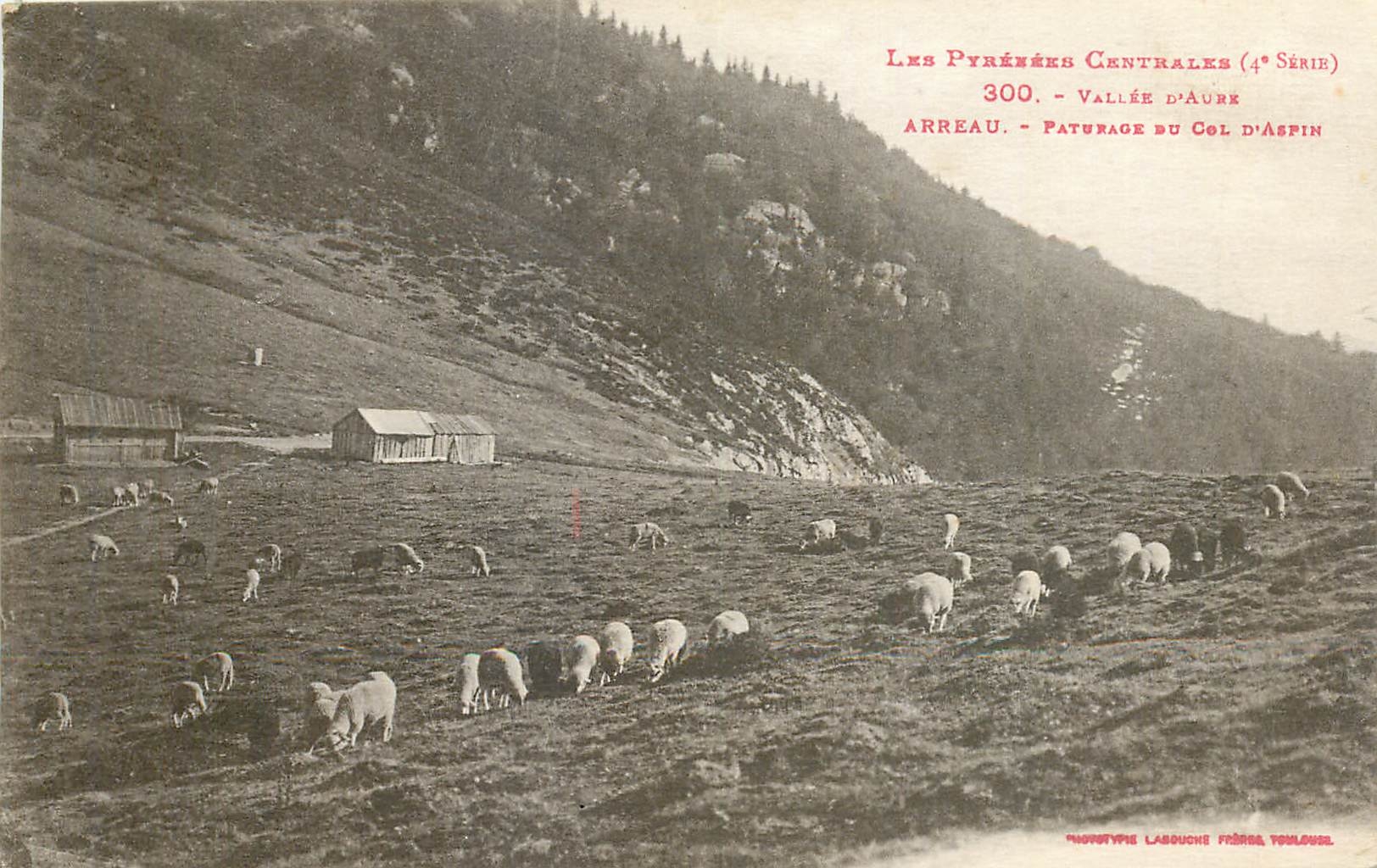 Les Pyrénées Centrales (4° Série) - Vallée d'Aure - Paturage du Col d'Aspin