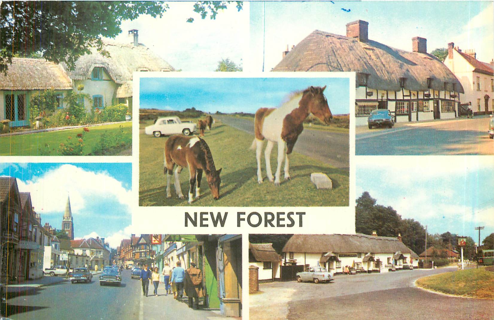 CPA New Forest Old Cottage Ibsley Old Cottage Ringwood New Forest Ponies 
