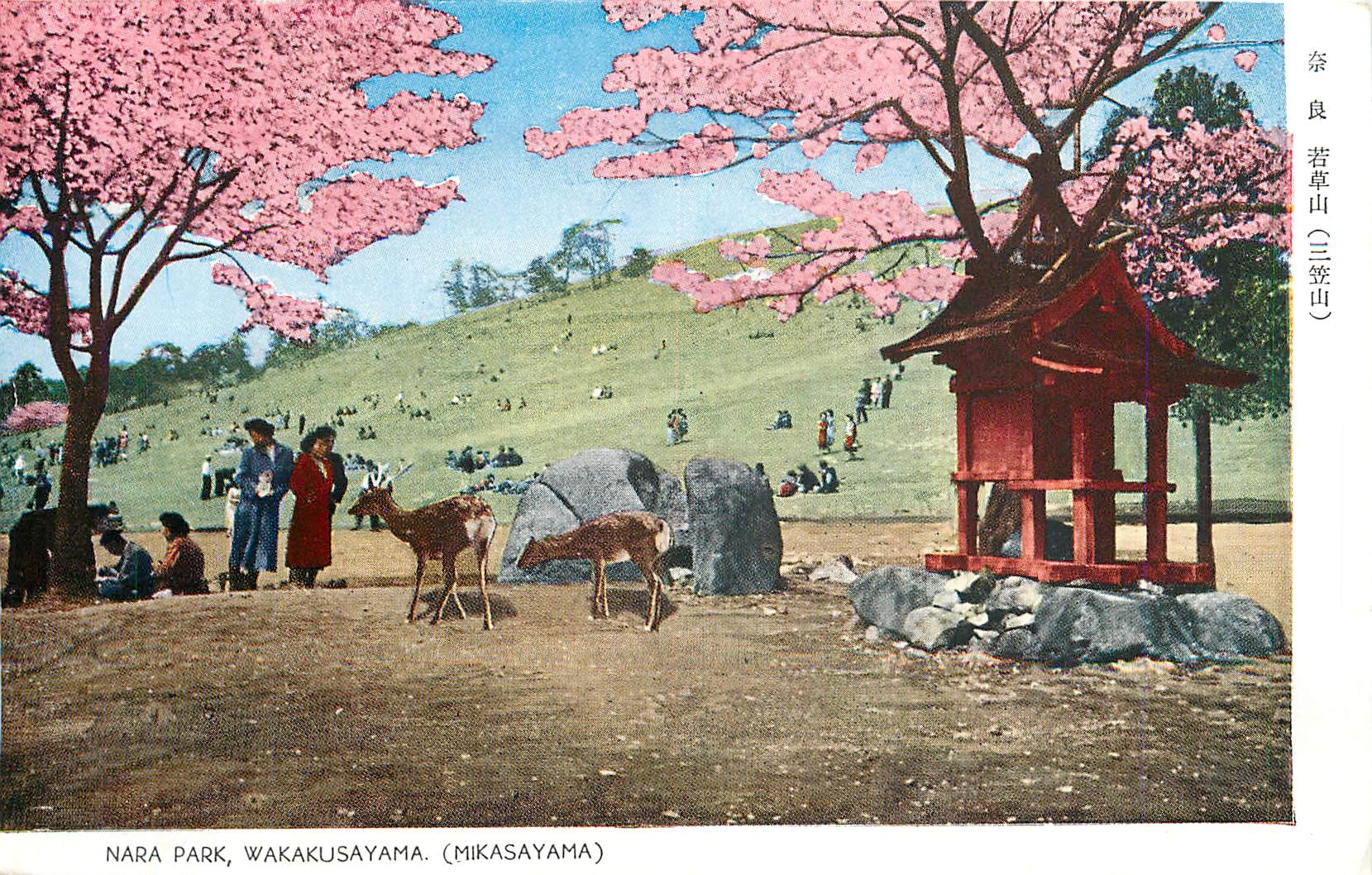 CPA Nara Park Wakakusayama Mikasayama 