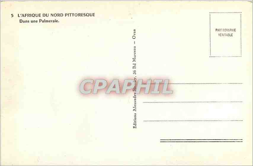 CPA L'Afrique du Nord Pittoresque Dans une Palmeraie  — Rückseite