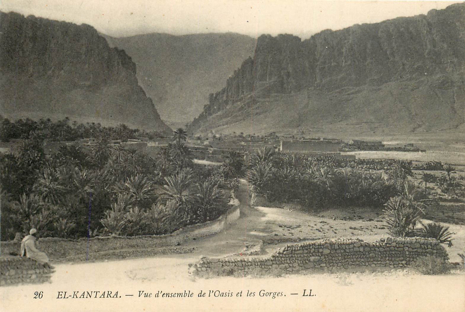 CPA El Kantara Vue d'ensemble de l'Oasis et les Gorges 