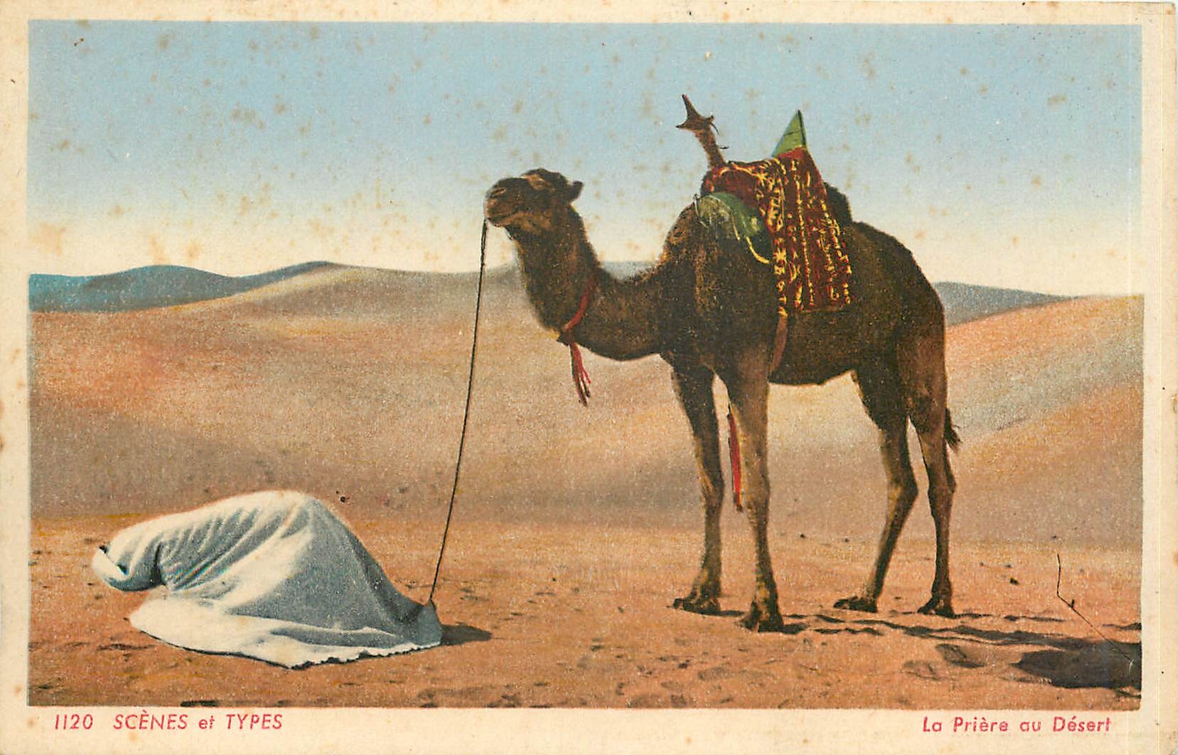 CPA Scenes et Types La Priere au Desert Chameau