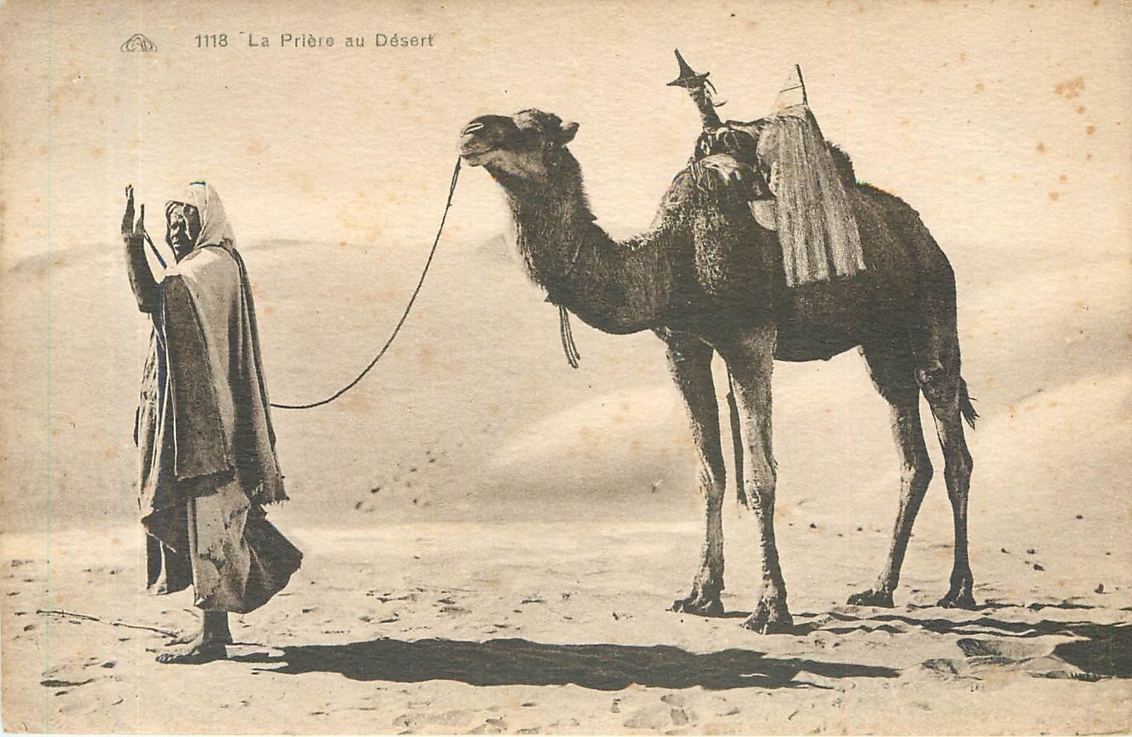 CPA La Priere au Desert Chameau
