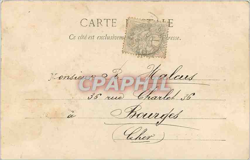 CPA Chamois sur la Montagne  — Verso
