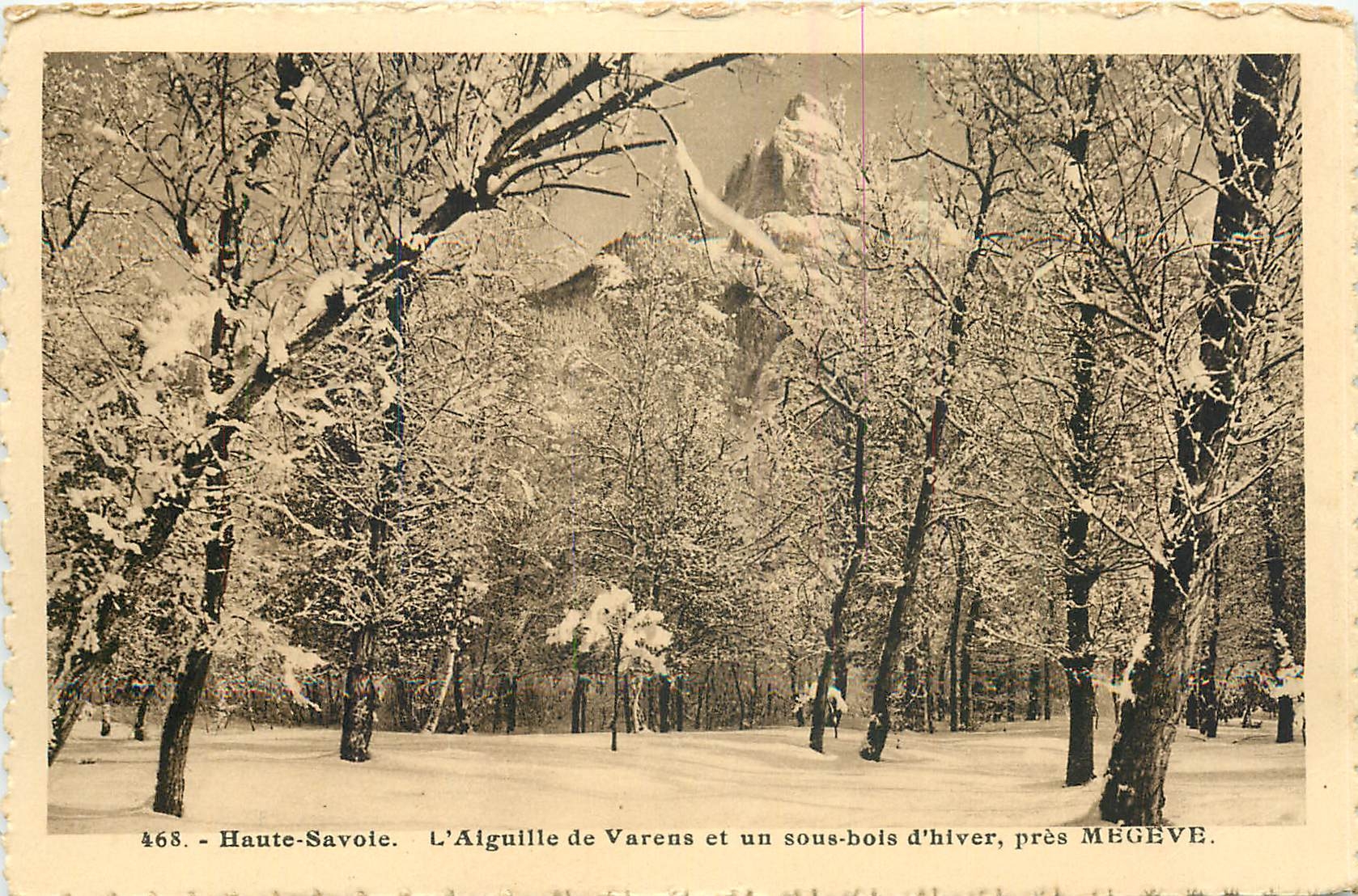 L'Aiguille de Varens et un sous-bois d'hiver, près MEGEVE — Haute-Savoie — n° 468