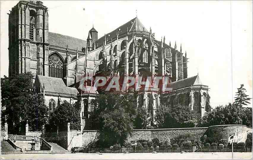 CPA Le Mans Sarthe La Cathedrale 