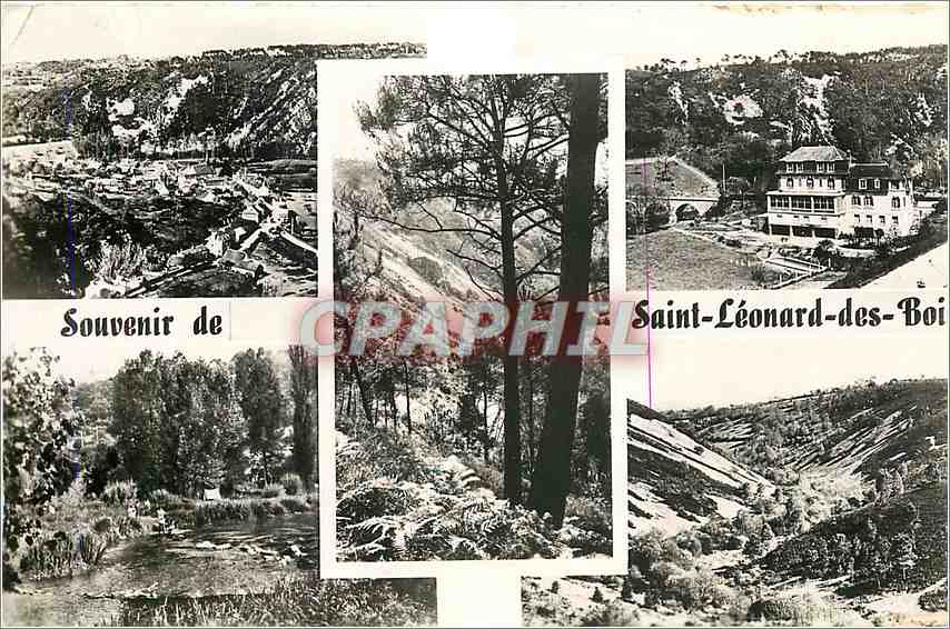 CPA Souvenir de Saint Leonard des Boi 