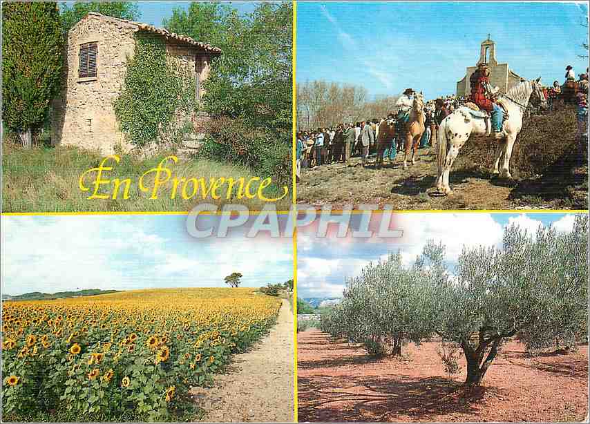CPM Lumiere et beaute de la Provence Quelques sites pittoresques 