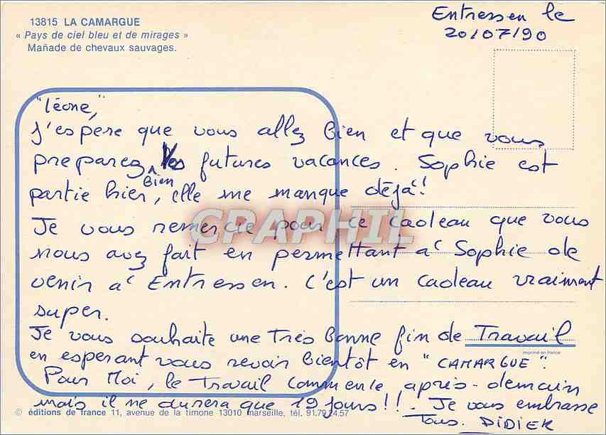CPM La Camargue Pays de ciel bleu et de mirages Manade de chevaux sauvages  — Back