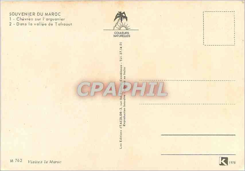 CPM Souvenir du Maroc Chevres sur l'arguanier  — Verso