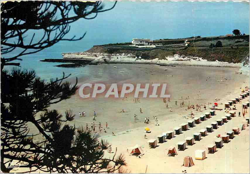 CPM Cote de Beaute Meschers Charente Maritime La Plage des Nonnes 