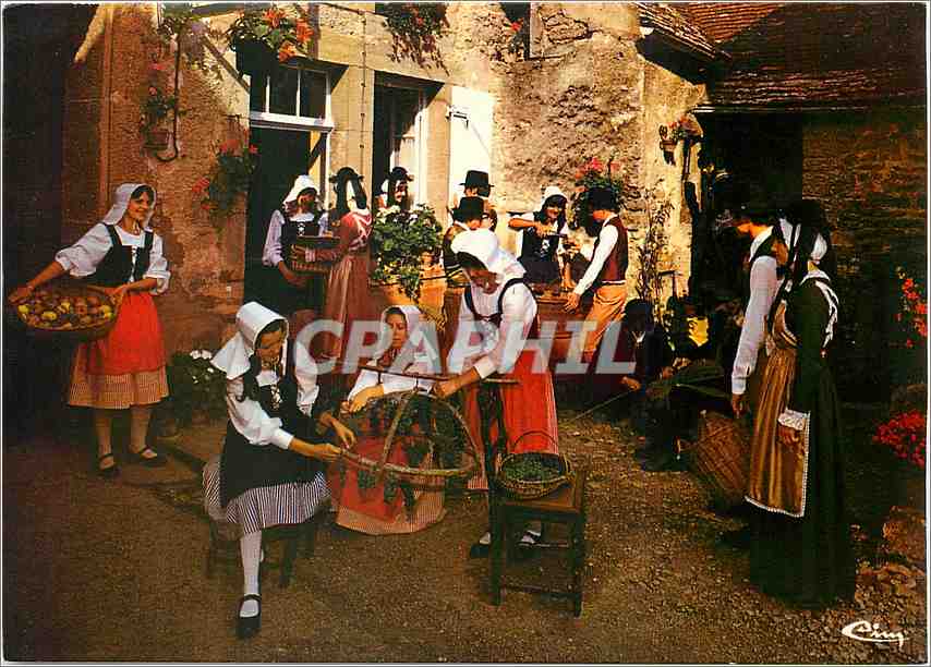 CPM Marsannay La Cote Cote d'Or Costumes et Folklore de Bourgogne Les Amis de la Cote rue du Rocher 