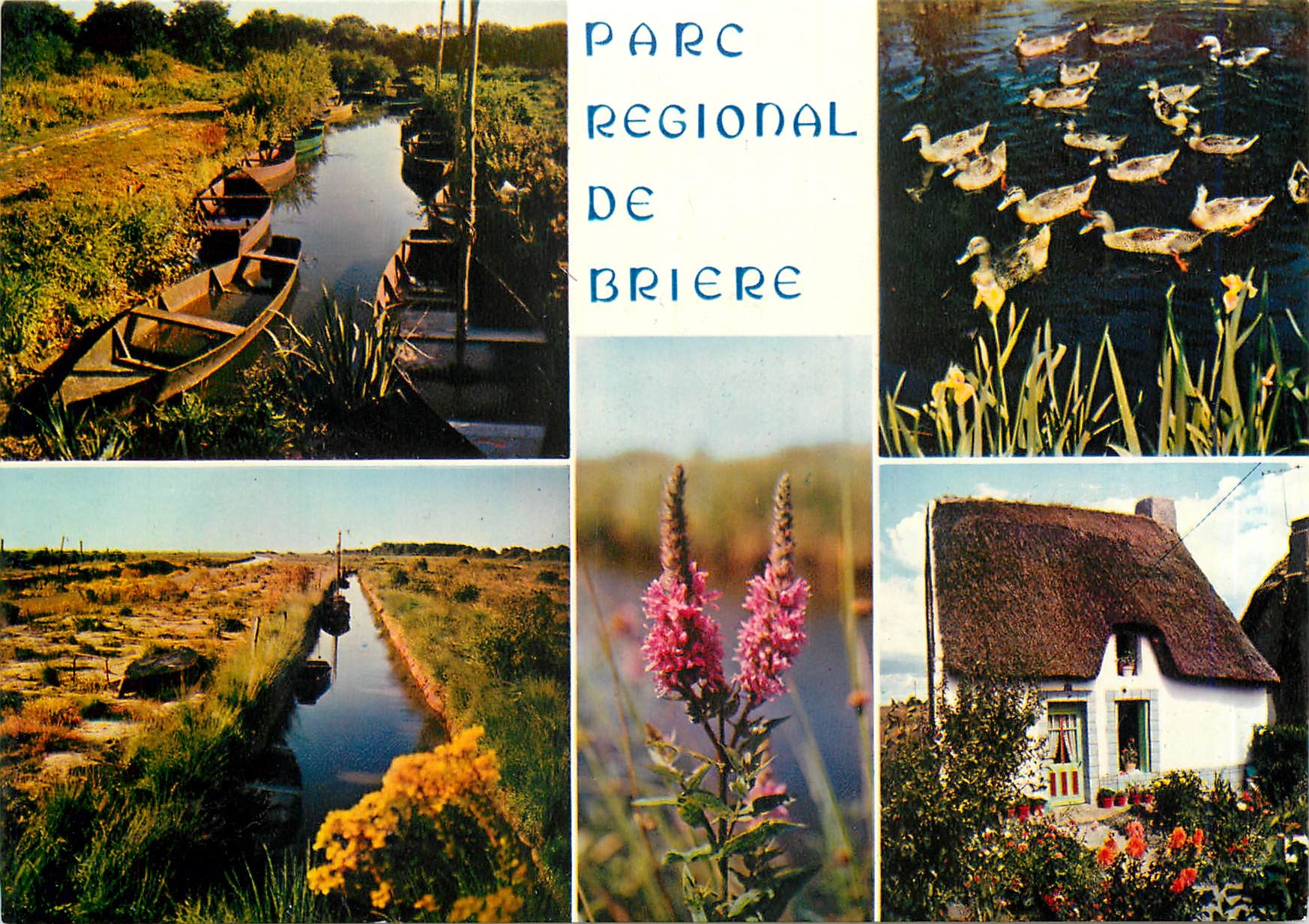 CPA Parc Regional de Briere hectares de marais ses fleurs ses oiseaux ses chaumieres et ses blins ba