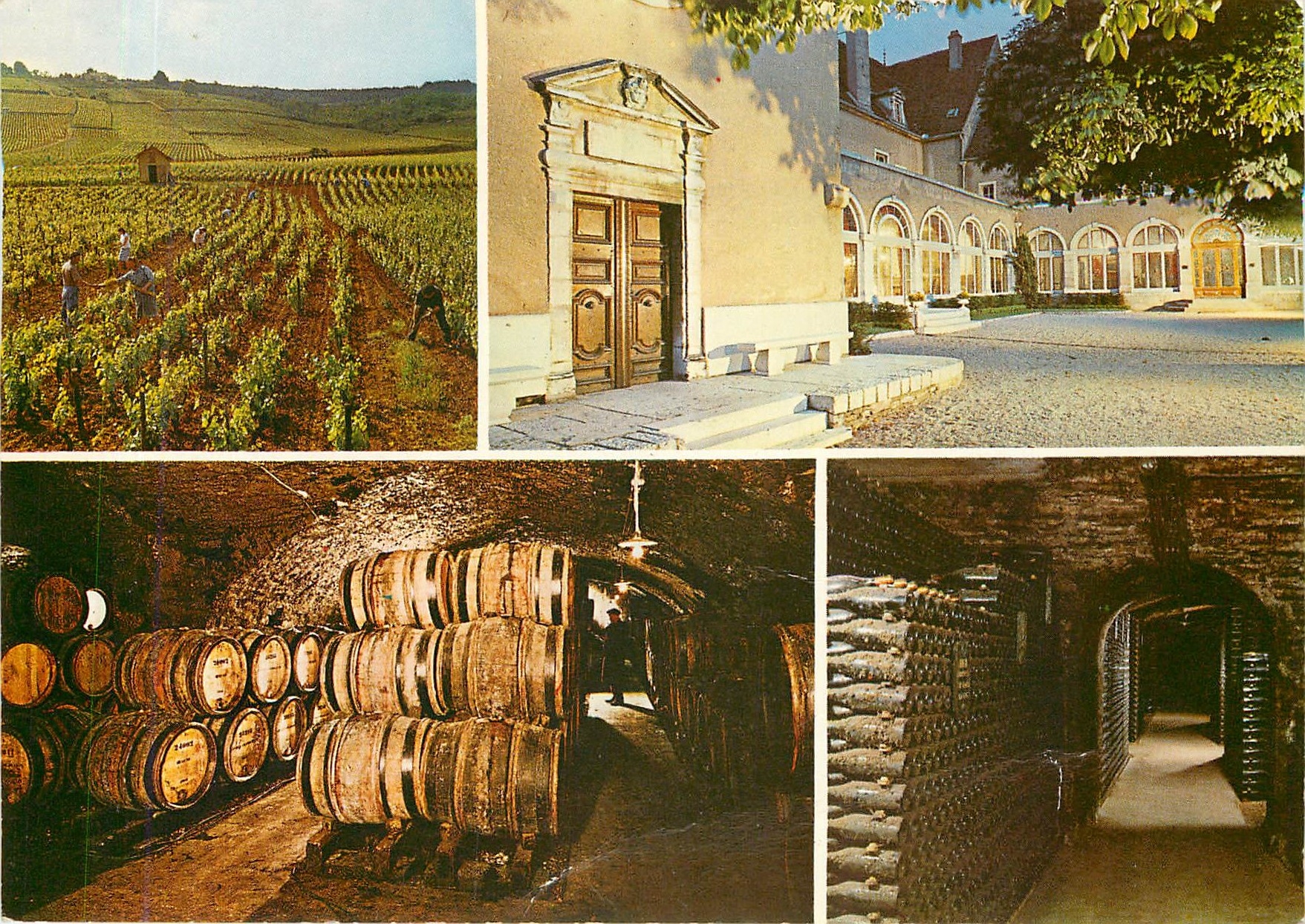 CPM Beaune Maison Patriarche Pere et Fils Ancien Couvent des Visitandines 