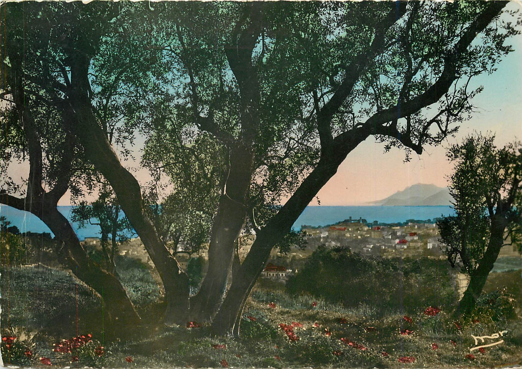 CPA La Cote d'Azur Le Cannet Vue sur Cannes et le Golfe de la Napoule 
