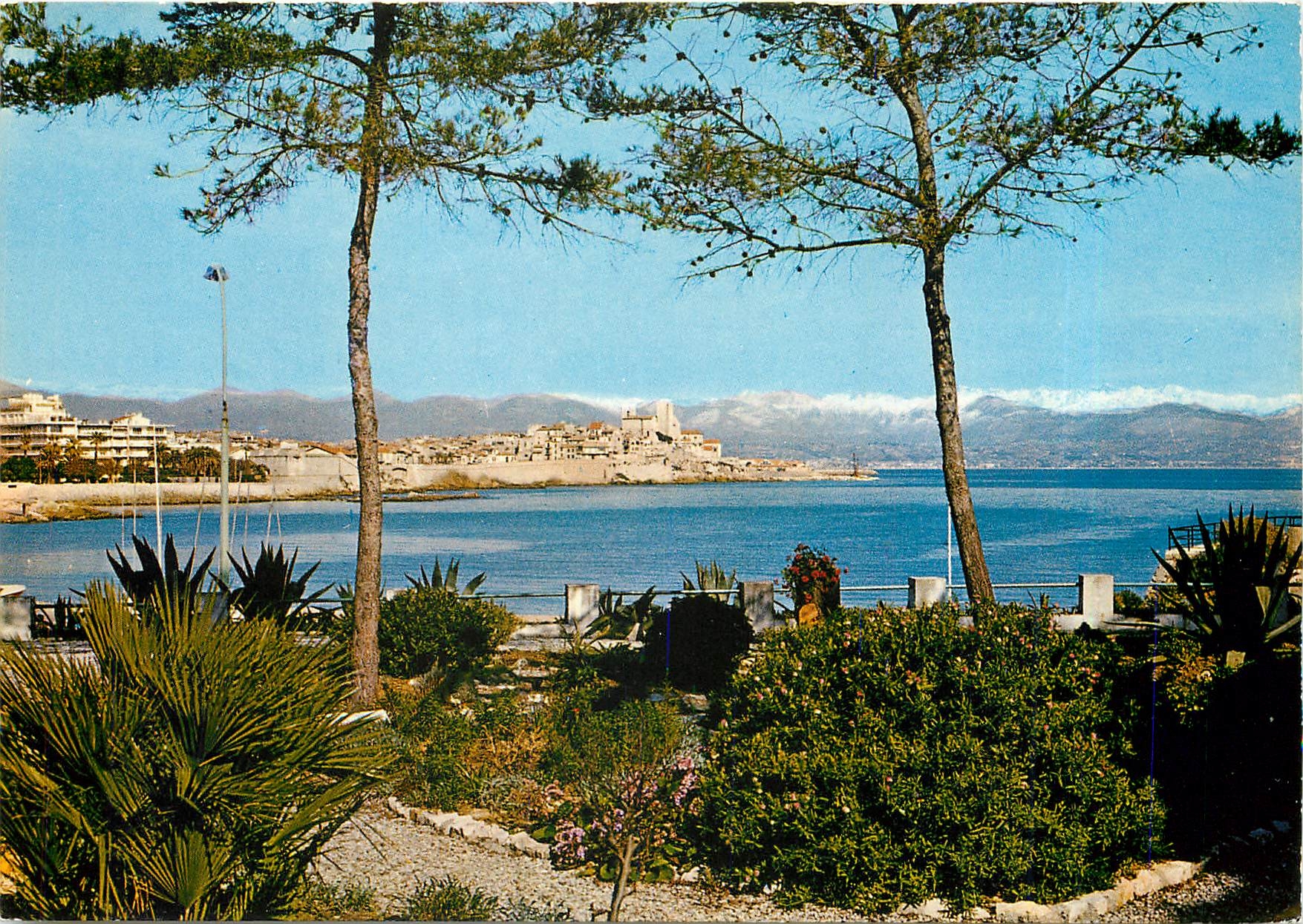 CPA Cote d'Azur Antibes Vue sur la Vieille Ville et les Alpes neigeuses 