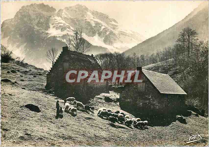Paturages Pyrénéens — Au fond le Massif des Bizourtères — Éditions ALIX