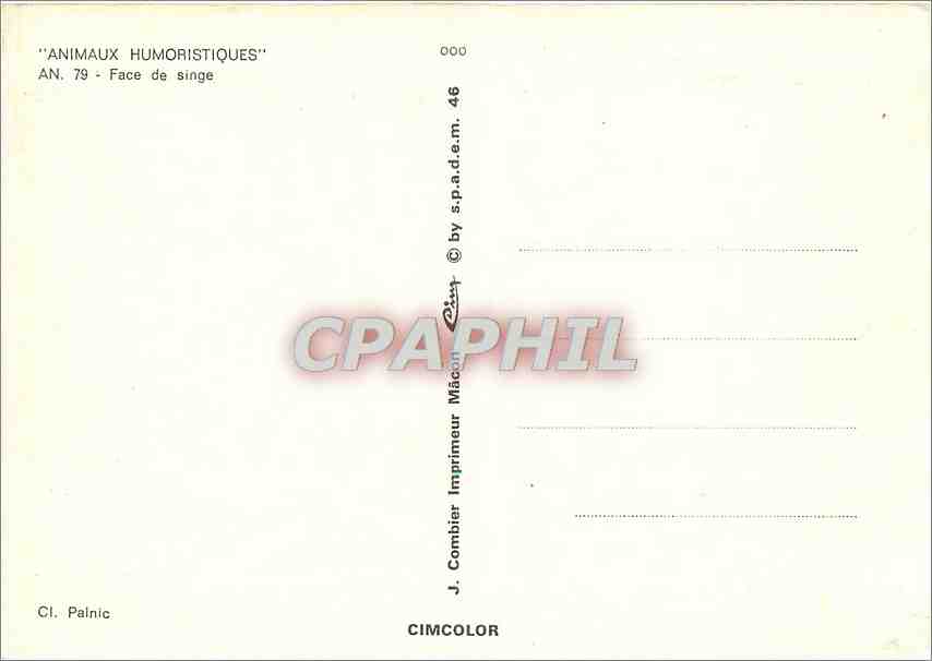 CPM Animaux Humoristiques Face de singe  — Rückseite