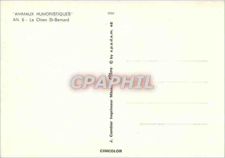 CPM Animaux Humoristiques Le Chien St Bernard  — Rückseite