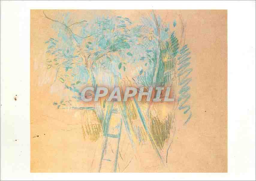 CPM Berhe Morisot Etude pour le Cerisier 