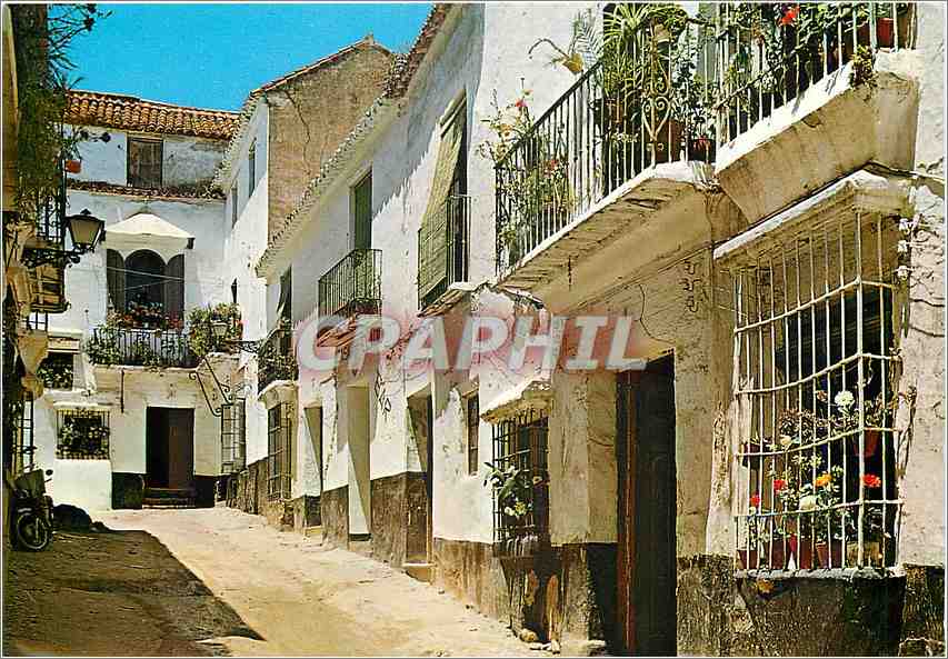 CPM Marbella Rue de la Vierge des Douleurs 