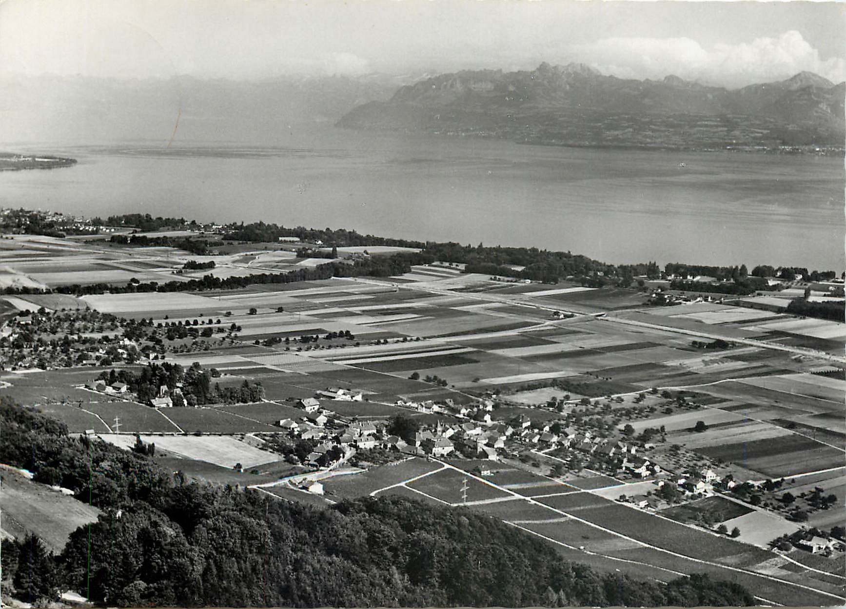 CPM Bursins Le Lac Leman et les Alpes Vue aerienne 