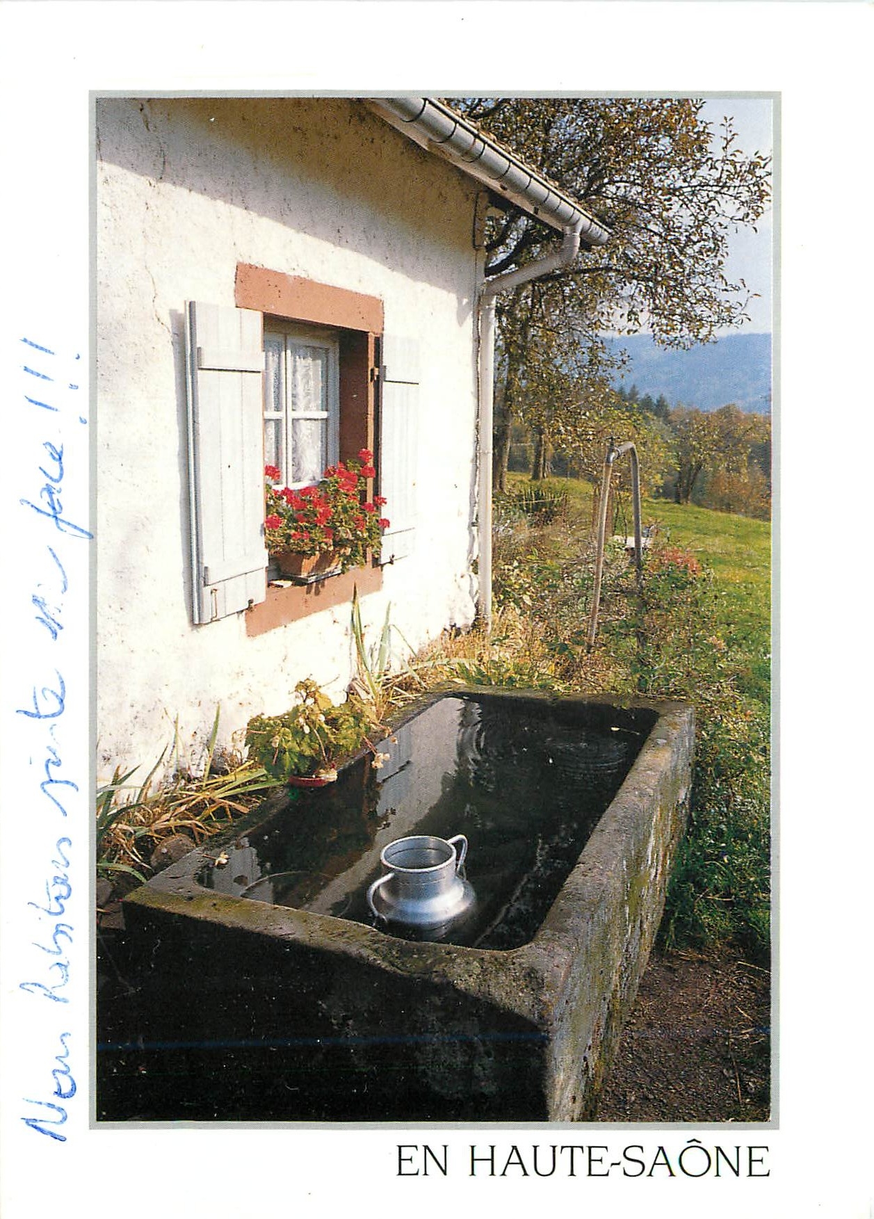 CPM Haute Saone Une bouille de lait au frais devant une fermette Saonoise 