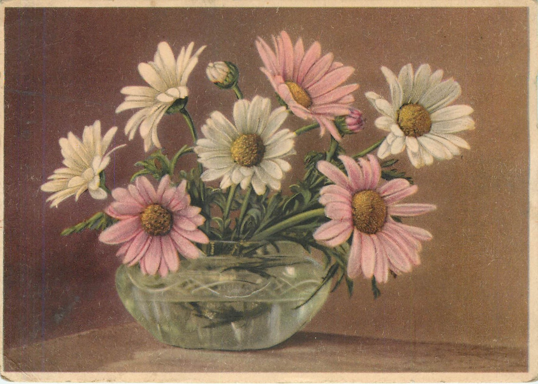 CPA Fleurs