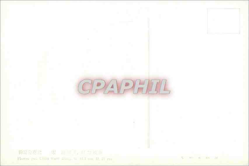 CPA Flowers  — Back