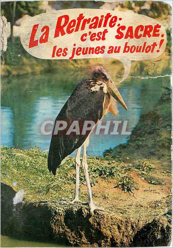 CPA Romaneche Thorins Parc Zoologique des Condeminals 