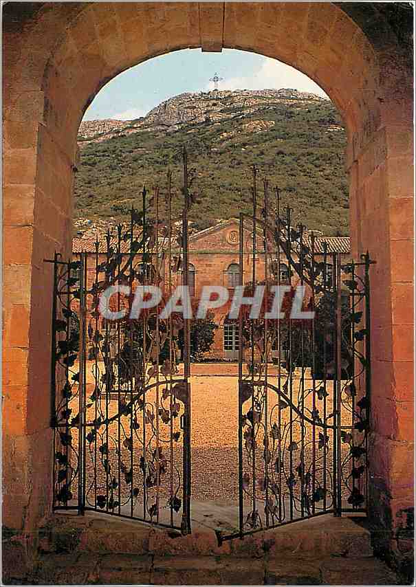 CPA Narbonne France La grille aux pempres de vigne et la cour Louix XIV 