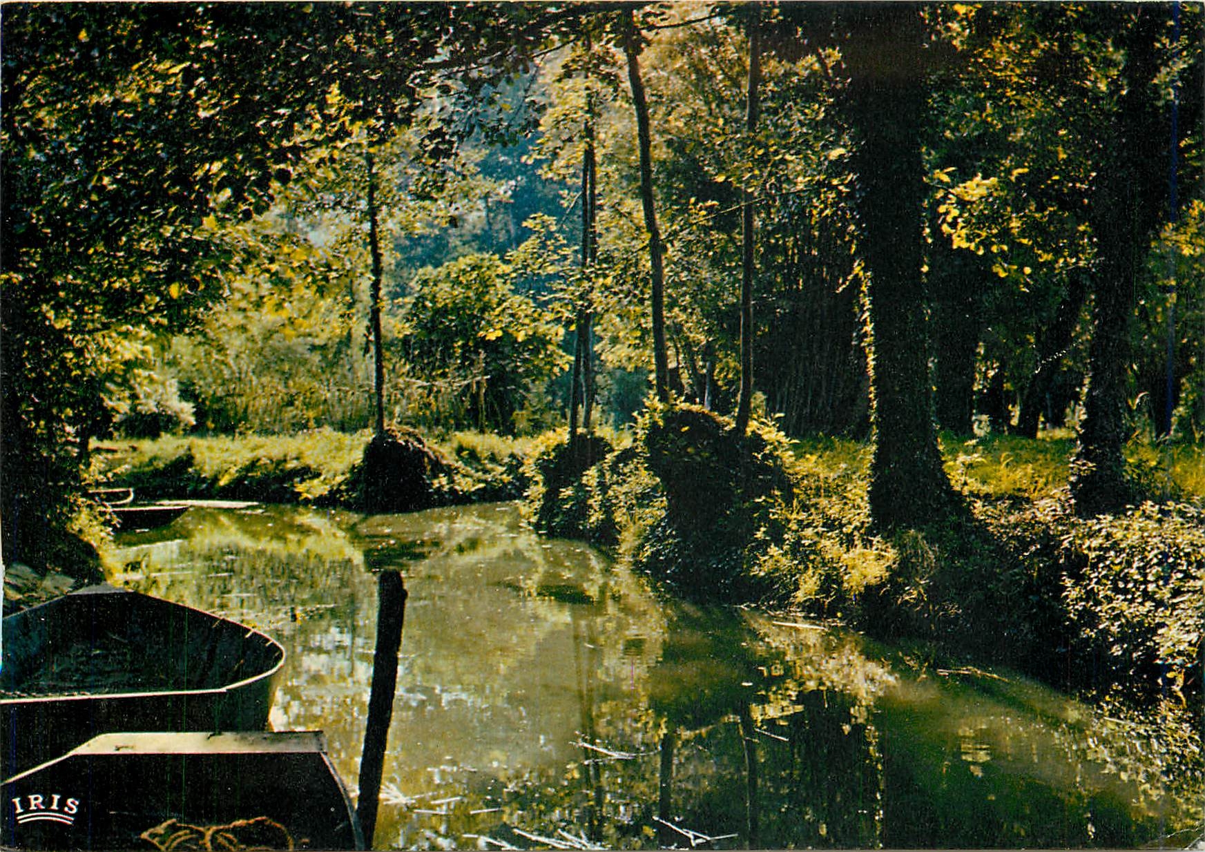CPA Marais Poitevin La Venise Verte La Conche des Amourex Route d'eau entre la Garette et Coulon 