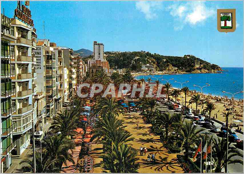 CPM Lloret de Mar Costa Brava Promenade und palmen 