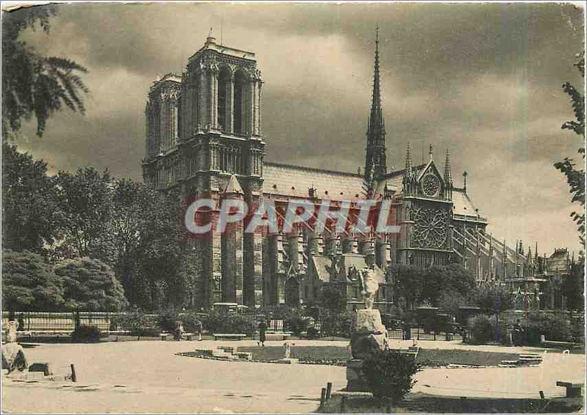 CPM Paris Notre Dame vue du square Rene Viviani 