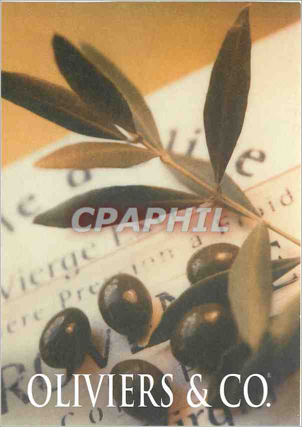 CPM Oliviers Co Feuilles d'olivier au sablon 