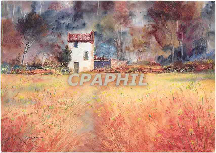 CPA G Monin Sentier dans le Fenouil 