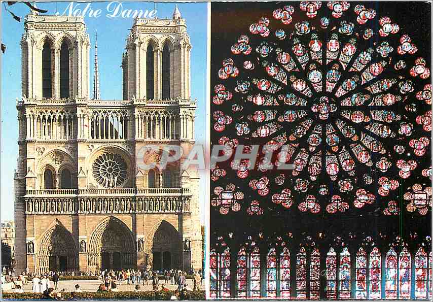 CPM Paris La Cathedrale Notre Dame 