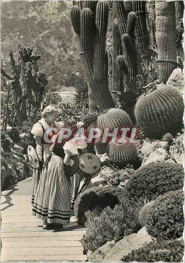 Jardin de cactus — Monaco — A. Leconte, Impr. à Paris